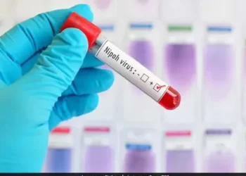New Nipah Virus Vaccine Proves Safe, Triggers Strong Immune Response in Phase 1 Trial