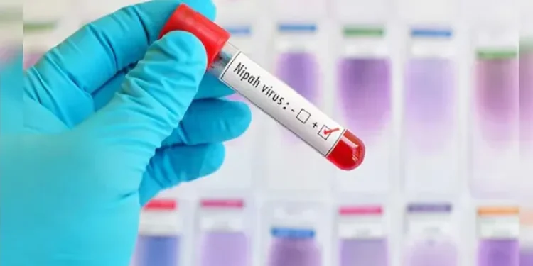 New Nipah Virus Vaccine Proves Safe, Triggers Strong Immune Response in Phase 1 Trial