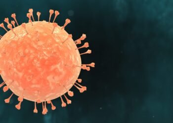 UAE Doctors Advise Vigilance, Not Panic, as India Steps Up Surveillance Following Nipah Virus Alerts