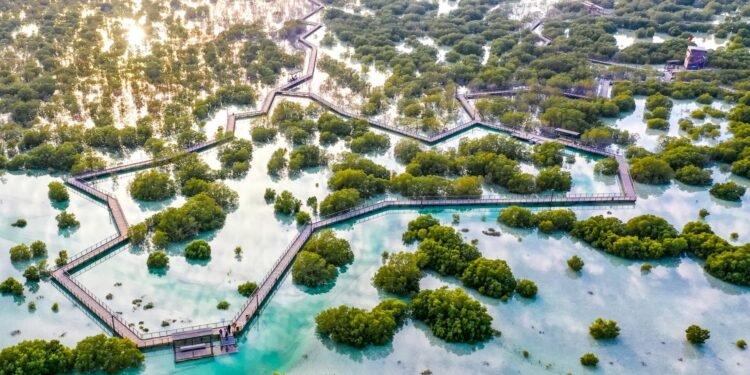 AI-Based Mangrove Monitoring Project Launched in Abu Dhabi With TAQA Support